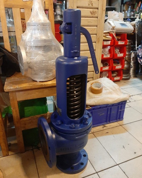 Valve, Pressure Regulator Supply for Gas Treatment