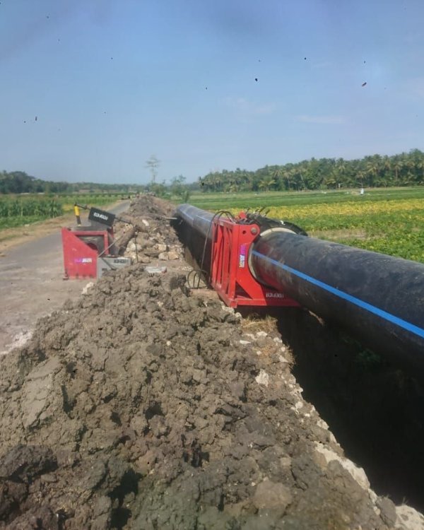 Distribusi Line